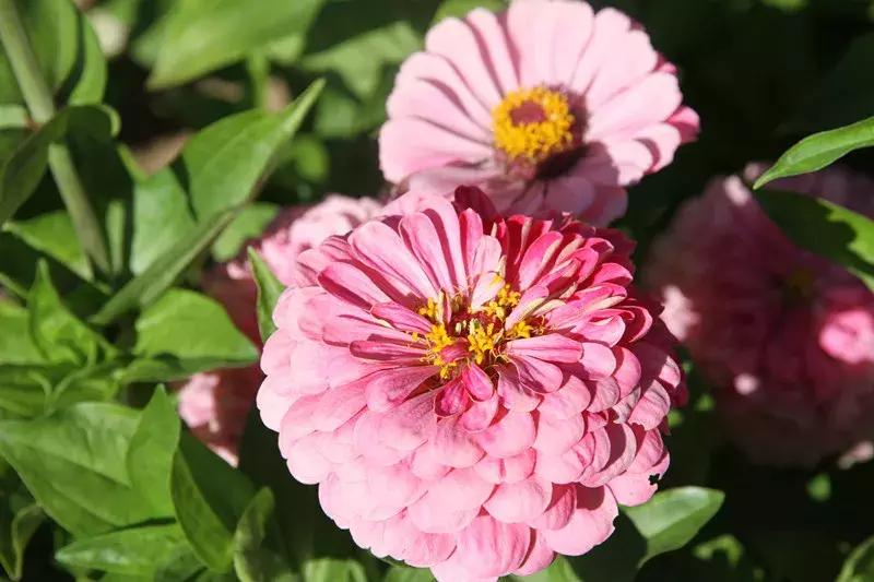 包头市新花海景点,包头最美的地方