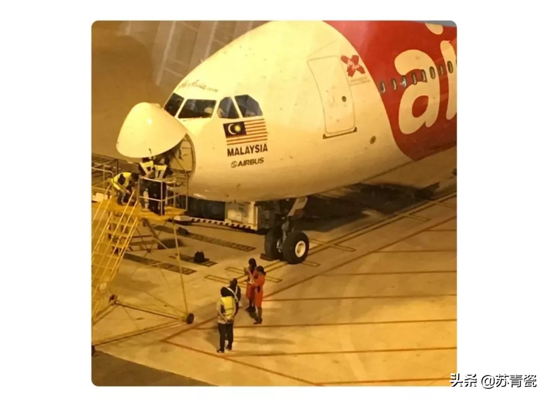 在荒郊野岭汽车没油了,飞机撞鸟灾难视频