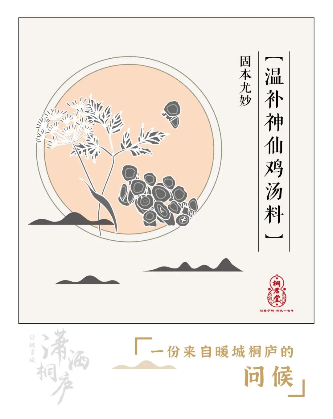 桐君养生包,桐君仁医中药包