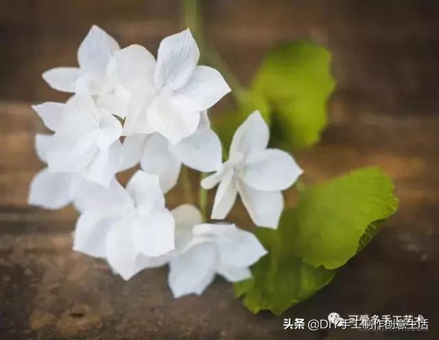 女生手工制作纸花大全,纸花制作礼物