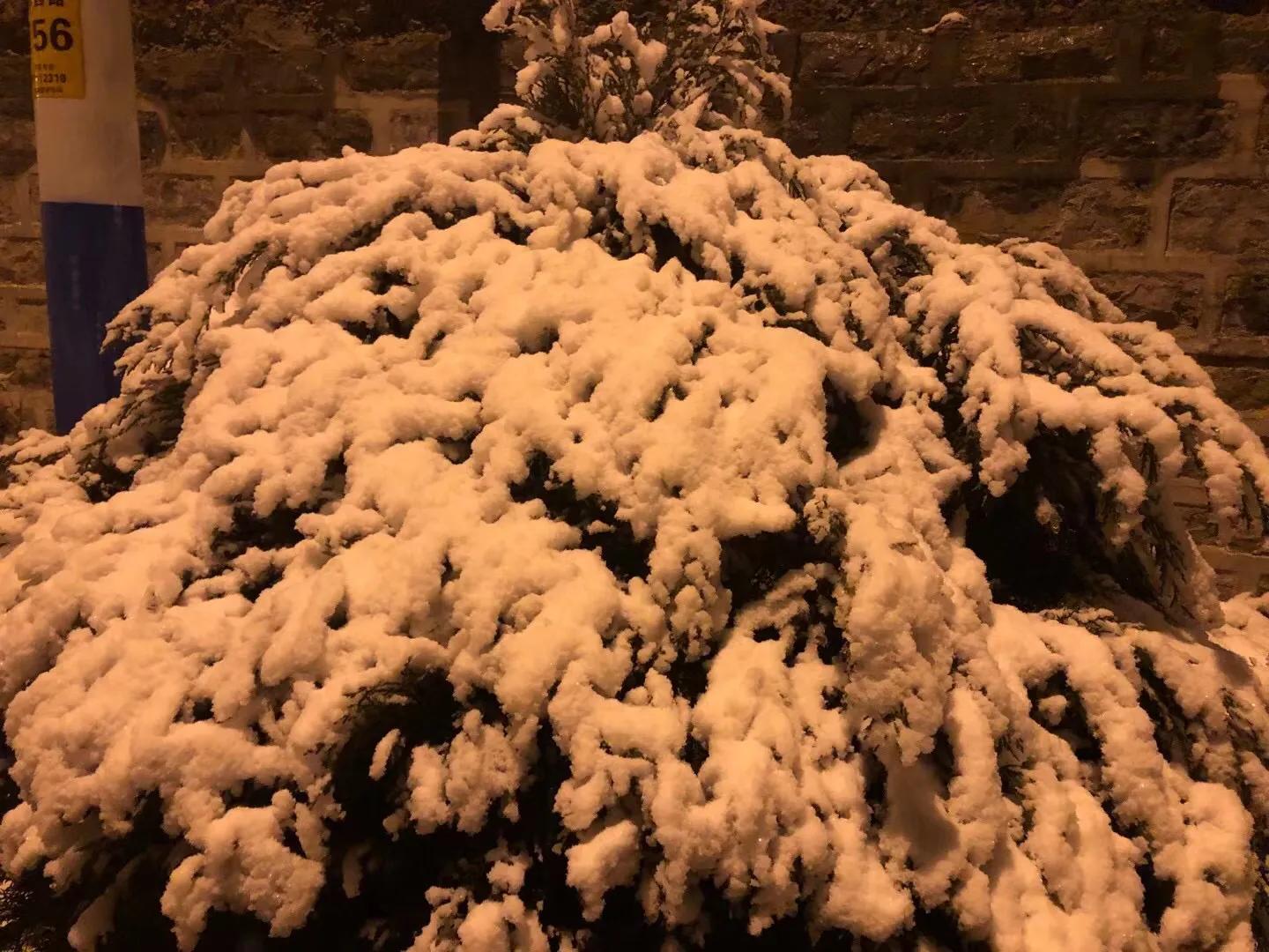 济南的初雪来了,对济南初雪的感受