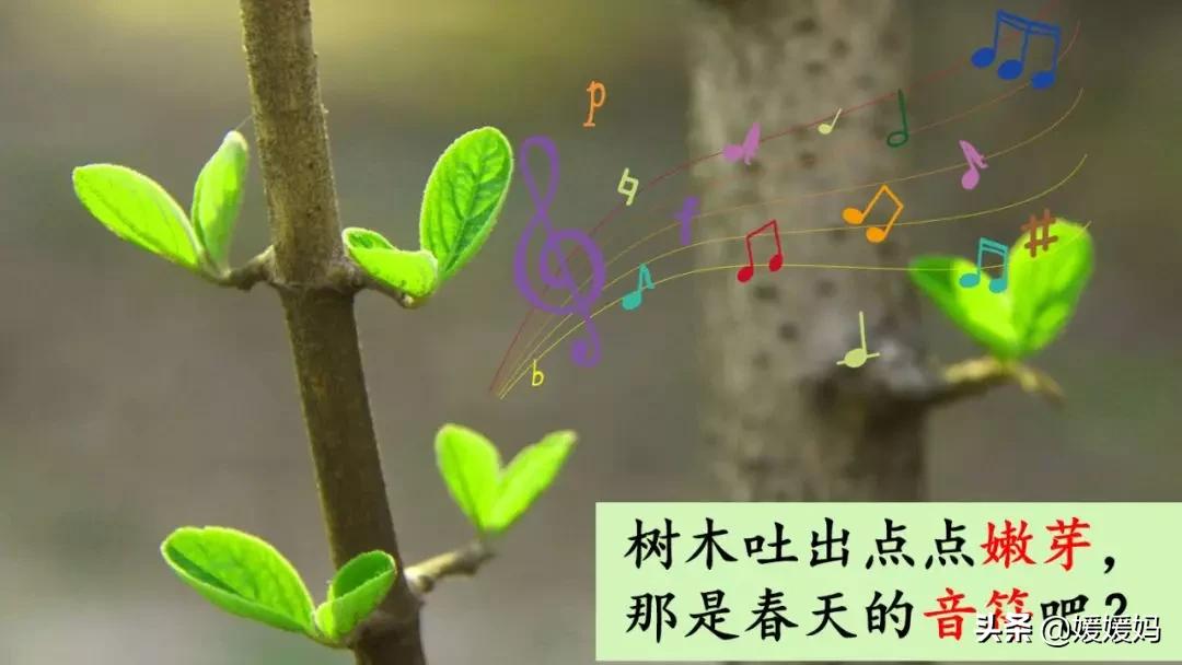 找春天二年级下册仿写第8自然段,找春天二年级下册朗读123自然段