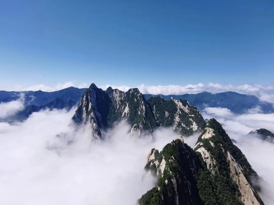 退伍军人八一免票,八一景区半价门票多少钱