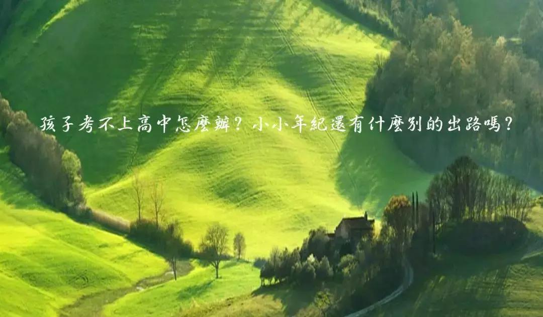 孩子考不上高中有哪些出路,孩子考不上高中有什么办法吗