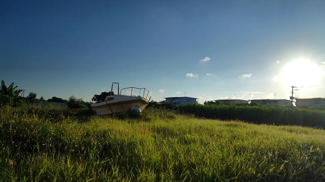 家里蹲不出门的烦恼,家里蹲的日子不好过自娱自乐吧