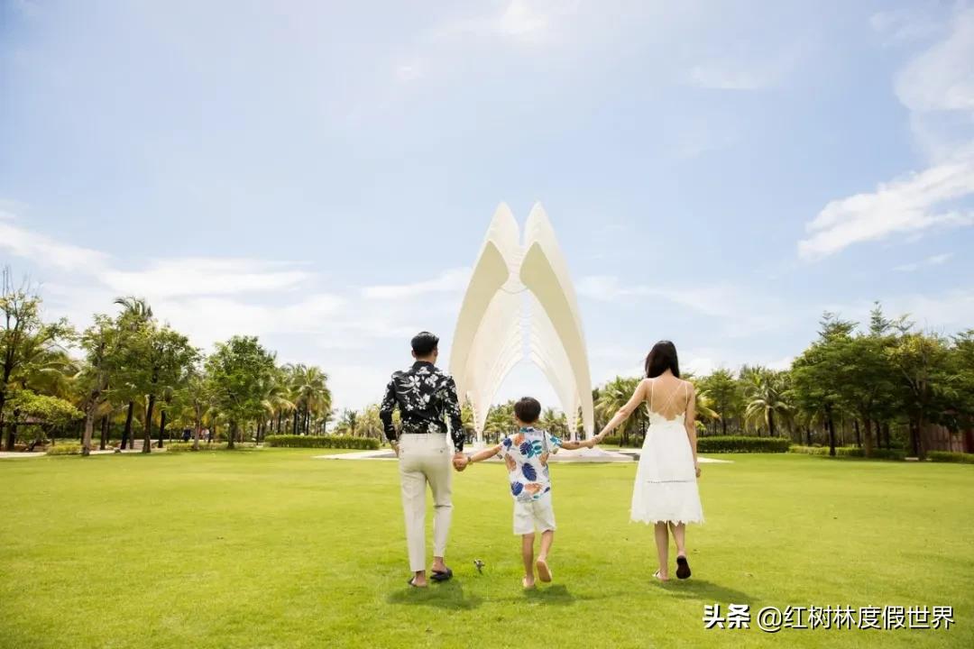 逃离北方的寒冷,逃离北方森林