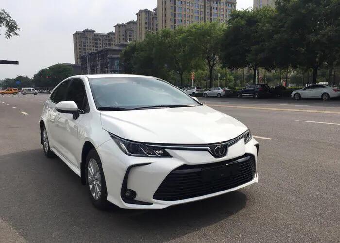 喜欢多姿多彩的生活,多彩多姿的生活作文