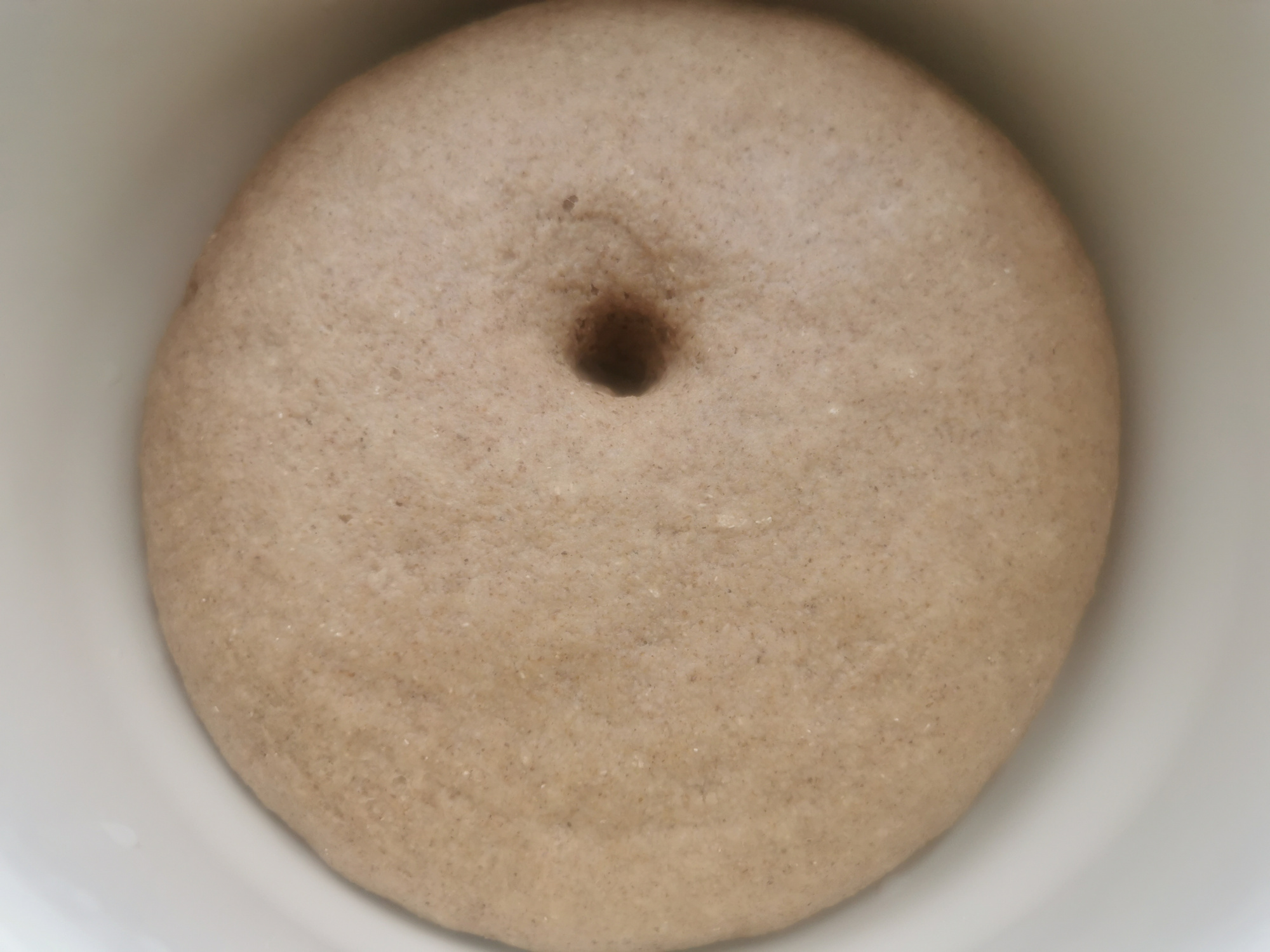 全麦面包包子麦香浓郁越嚼越香,麦香坊全麦面包0糖0脂减肥专用