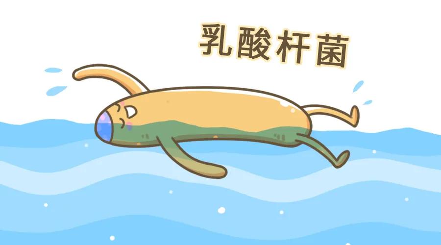 衣服洗完总是臭臭的怎么办,衣服每天洗为什么还有黑点