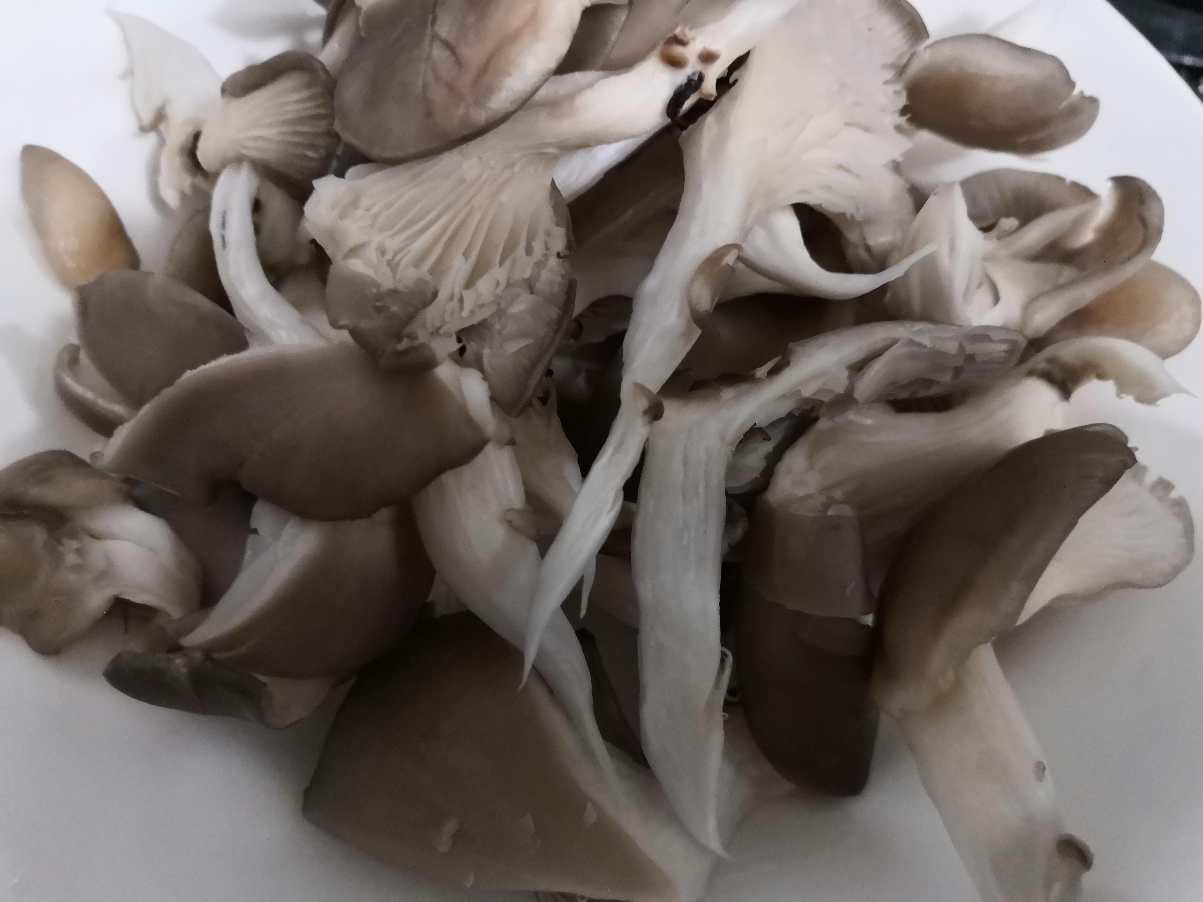 炸出来的蘑菇太油,炸过的蘑菇软了