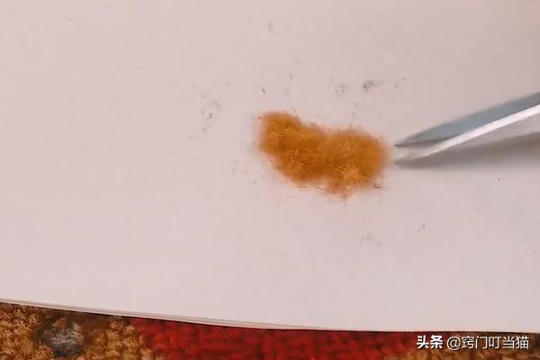 地毯被烟头烧了怎么处理,地毯被烟头弄烂怎样修复