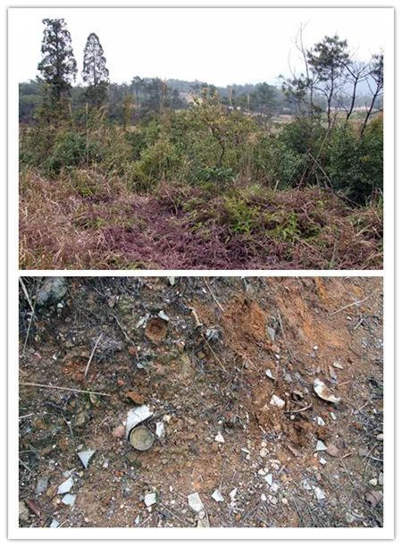 瓯窑遗址分布,苍南古遗址