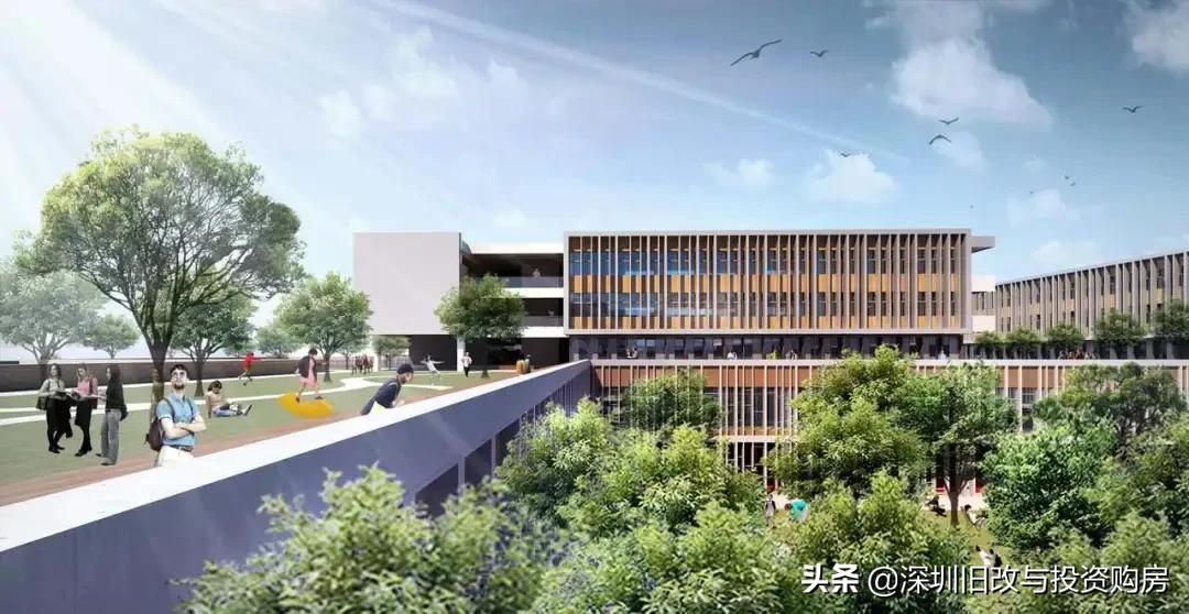 深中泥岗校区,深科大和南科大