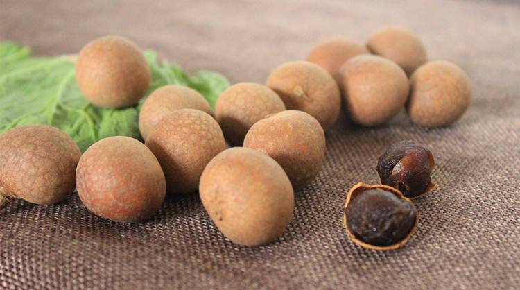 适合老人安神助眠的茶,可以安神助眠的茶