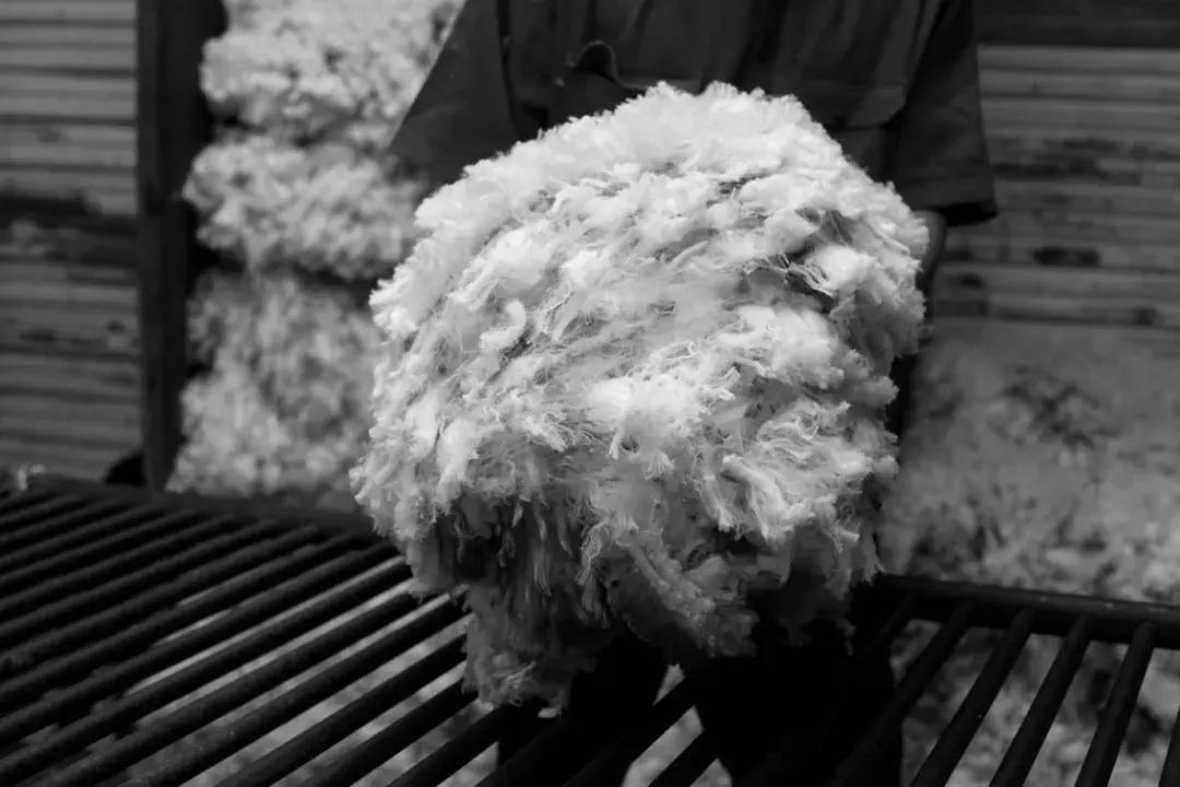 一件针织衫要六位数?能穿它的人不仅真壕还低调!