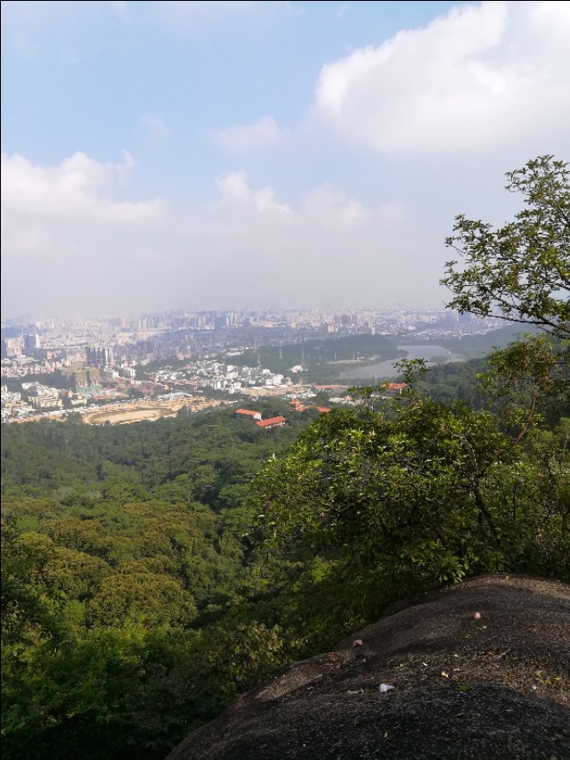 适合发朋友圈青城山后山唯美句子,梧桐山适合发朋友圈的句子