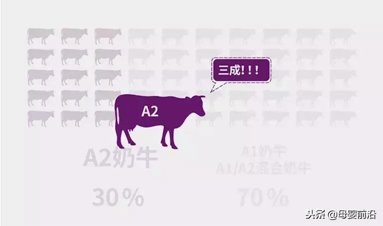 a2销售,a2宣传图