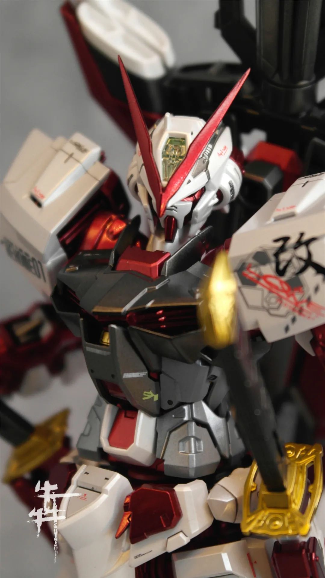 红异端倒挂,看家菜的做法大全家常