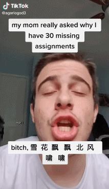 一剪梅火到国外的原因,一剪梅是怎么就火了