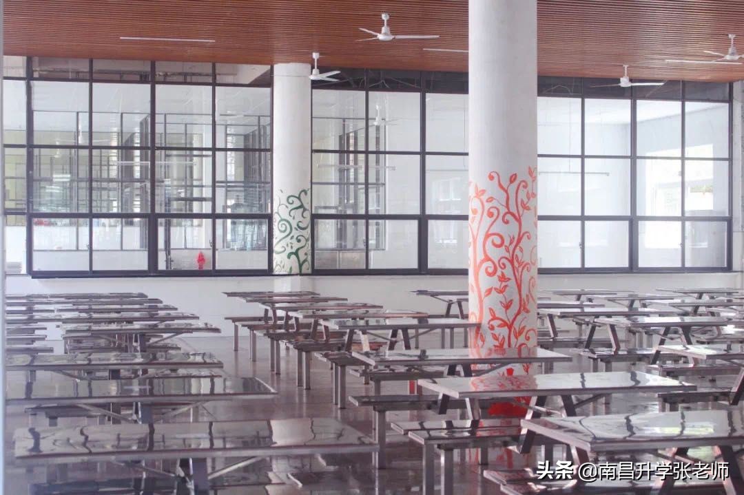 南昌百树外国语学校高新校区,南昌百树外国语学校