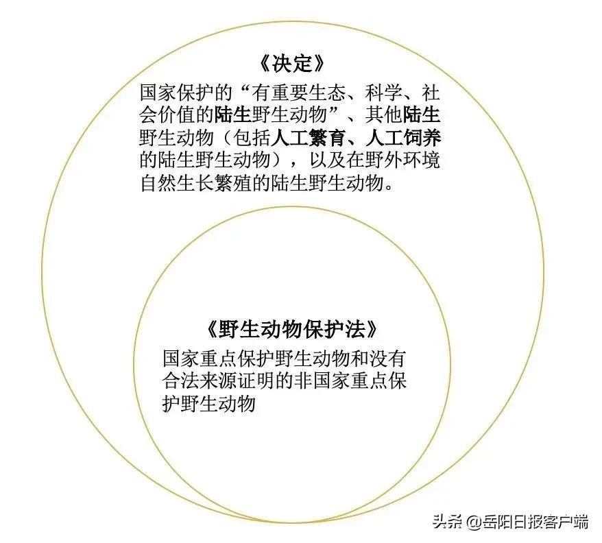 姜辣蛇为什么不能吃,姜辣蛇湖南口味压几分钟