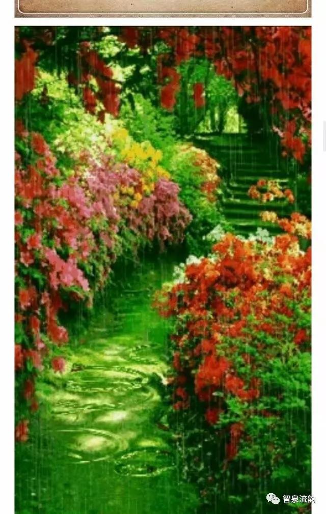 郭进拴神游索溪峪,郭进拴全部视频