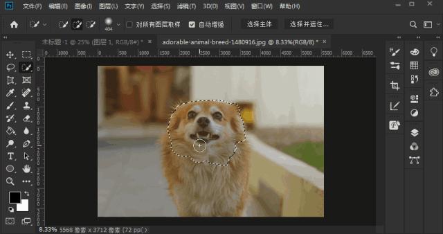 photoshop快捷键大全,photoshop设置快捷键大全