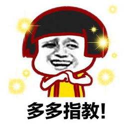 想当辅导老师,想当会计培训老师