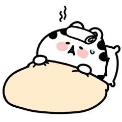 阴虚火旺虚不受补体质怎样调理,阴虚气虚气血不足脾胃不好怎么办