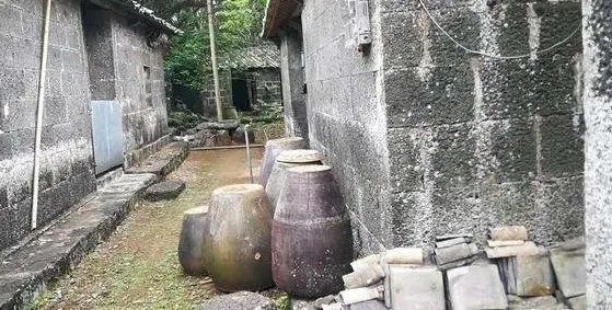 农村旧水缸种荷花,院子里老水缸种荷花