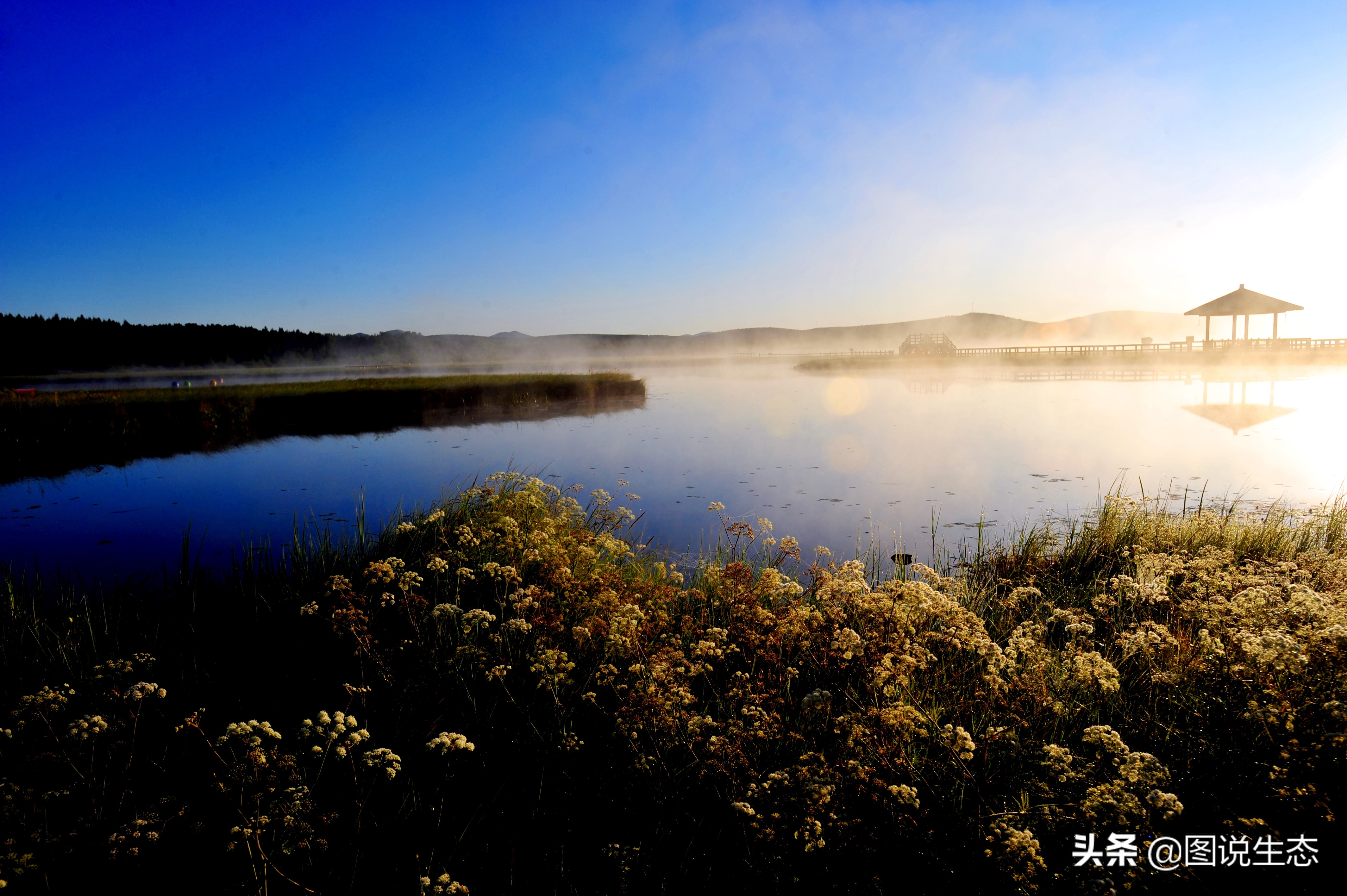 一口气看完塞罕坝全篇,参观塞罕坝有感1000字