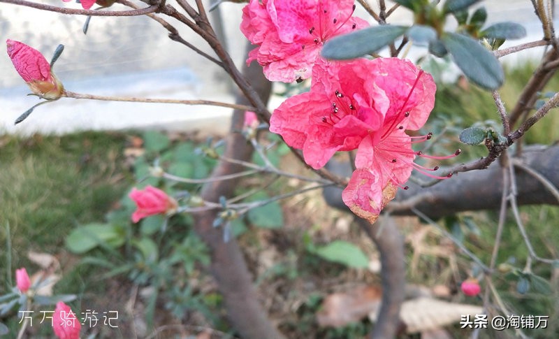 趁青春多折腾,趁着年轻四处游一游