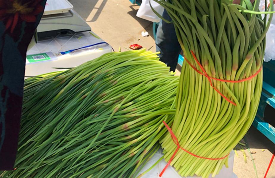 炒蒜苔怎么才能快速入味,大锅菜蒜苔过水还是过油