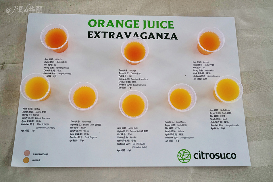 巴西像内马尔的人,巴西像