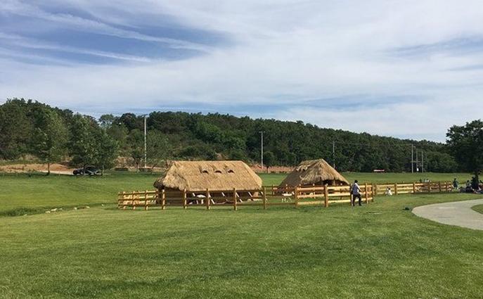 大连滨海路几月最美,大连最美季节