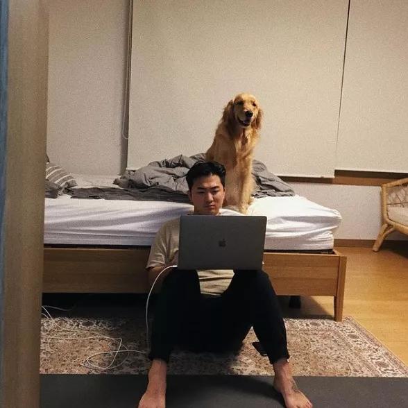 怀孕了，就把狗扔了吧，多脏啊