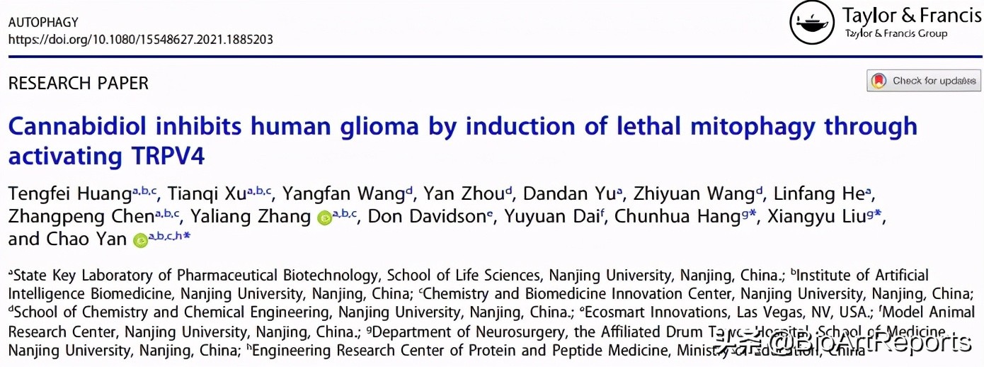 青蒿素能治脑胶质瘤吗,中药治疗神经胶质瘤