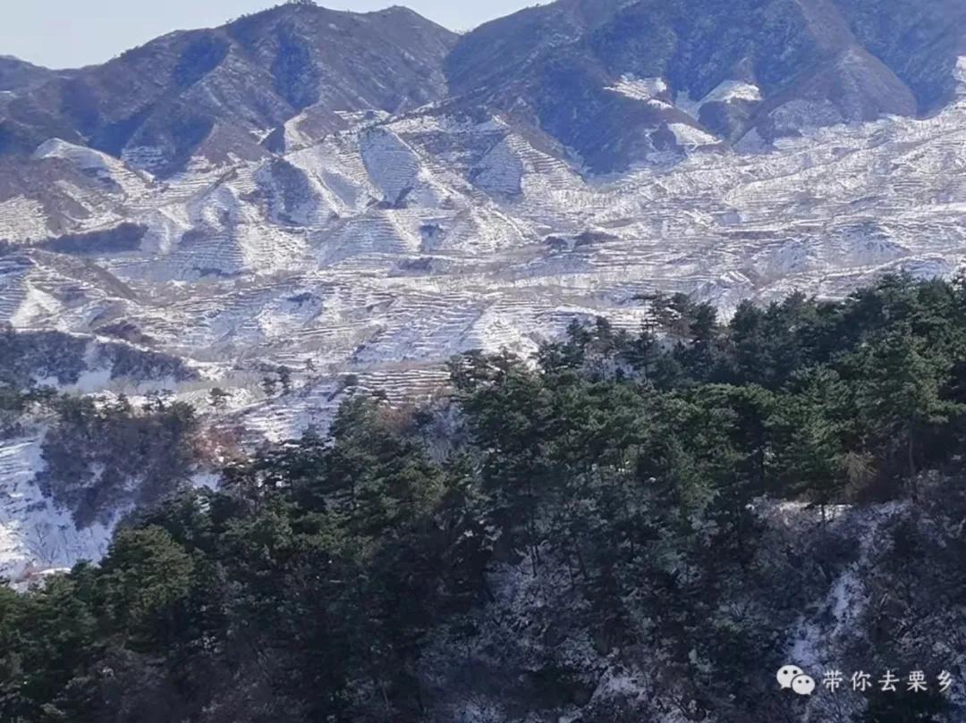 山大王的悠闲生活小说,山大王的日常生活