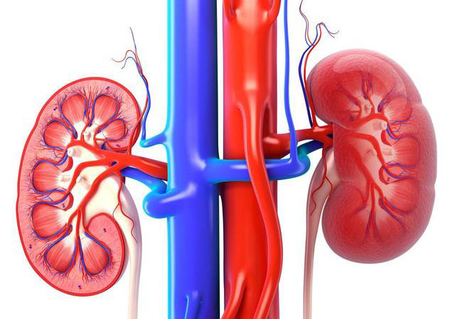 女性肾炎治疗用啥药治疗,治慢性肾衰的中药能治慢性肾炎吗