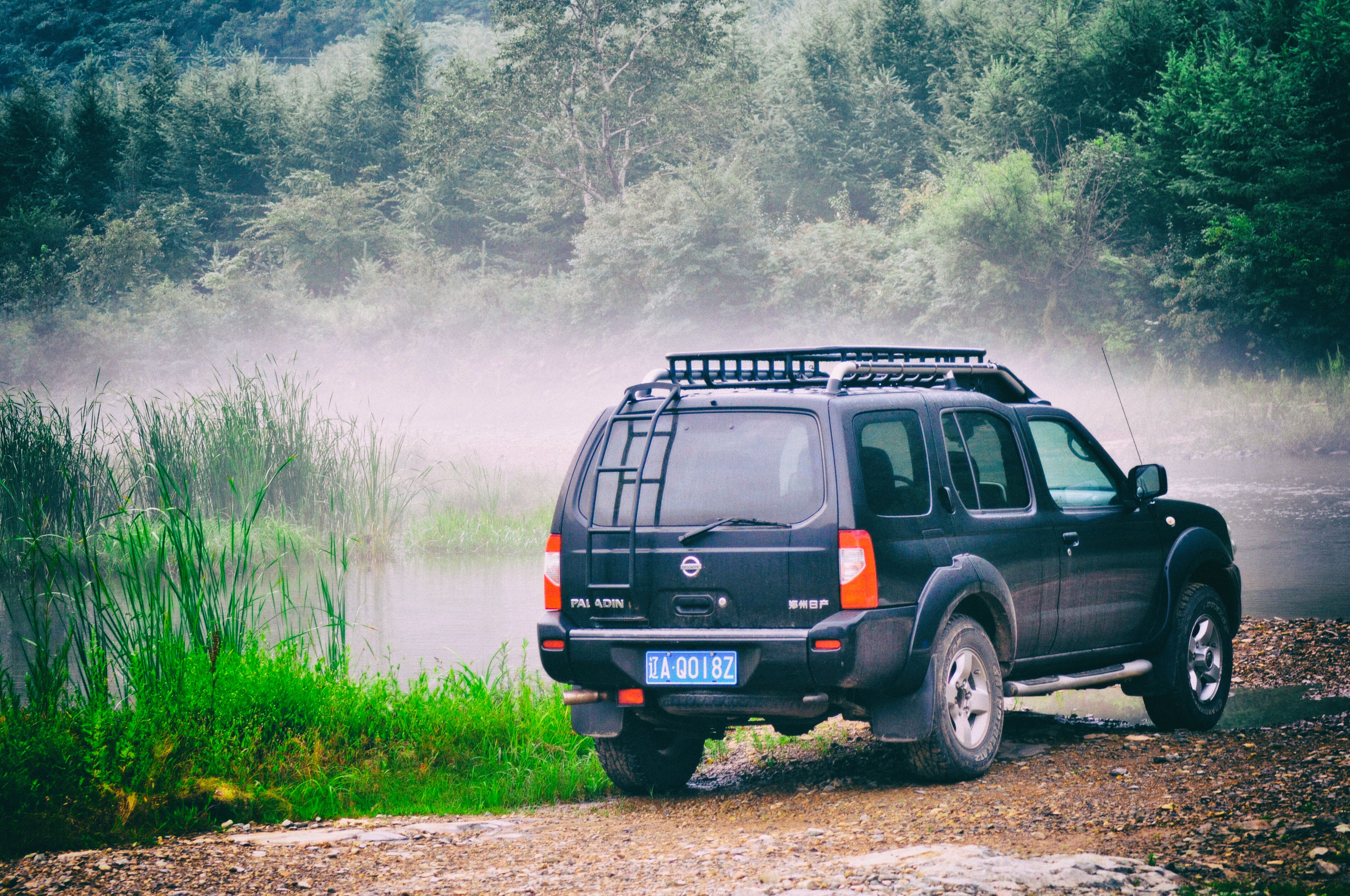 我的旅行群几百人，85%女性、我是群主，说说群里的那些奇葩事儿