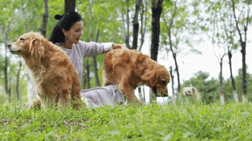 北京京郊女孩抱团养老村,北京山里抱团养老