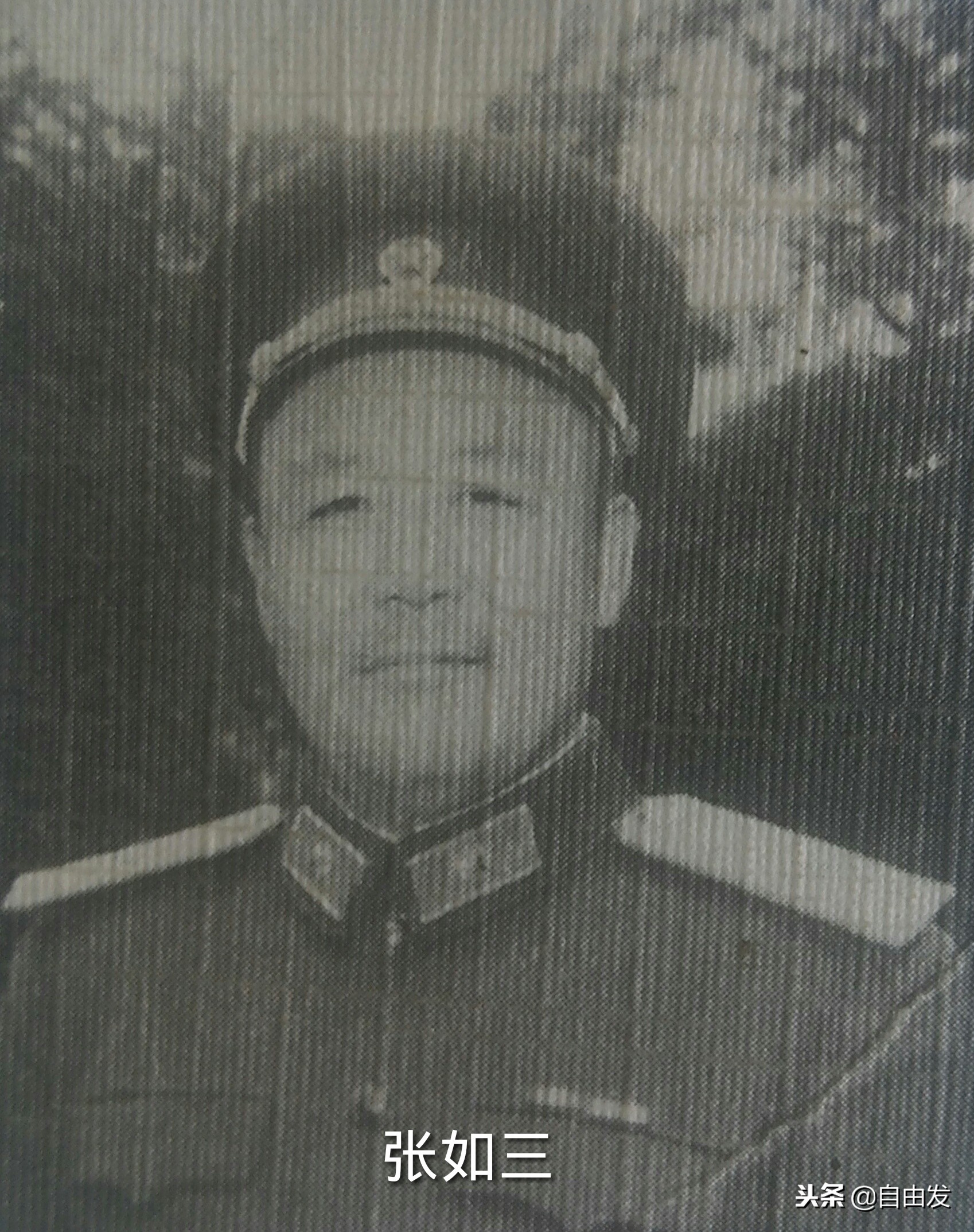 东园青史三百年（一）