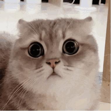 好久不拉屎什么情况,什么情况下拉屎