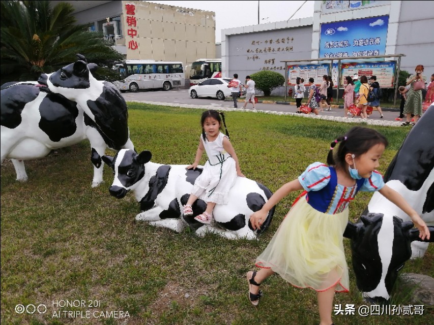 雪宝奶牛场,参观雪兰牛奶工厂心得体会