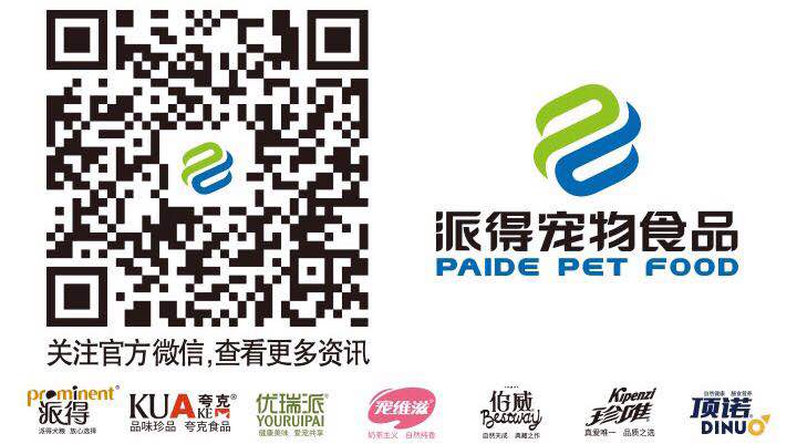 马犬怎么训练听话,马犬怎么训练最好训