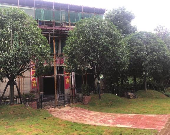 岳阳违建案例,岳阳违建整治