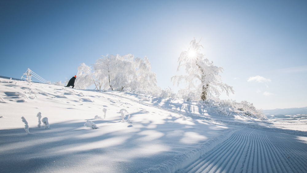 浣宠兘eosr,浣宠兘eosr浣跨敤鏁欑▼