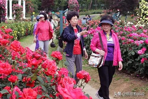 日本大妈发型变化,为啥大妈都是短发发型