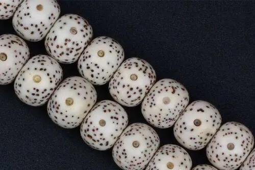 星月菩提的选购、盘玩、保养入门基础篇