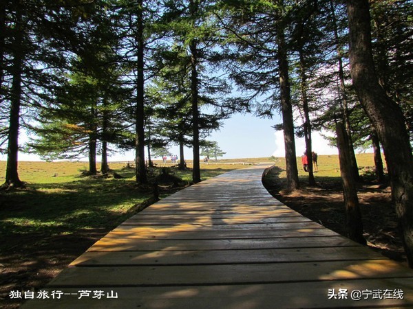 宁武芦芽山悬崖栈道,太原出发芦芽山马仑草原自驾路线
